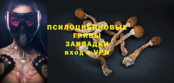 ECSTASY Богородск