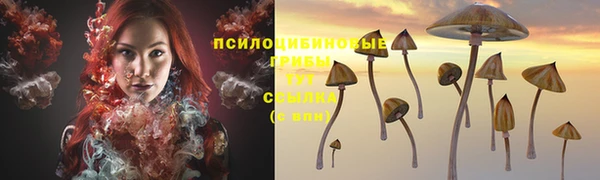 герыч Богданович
