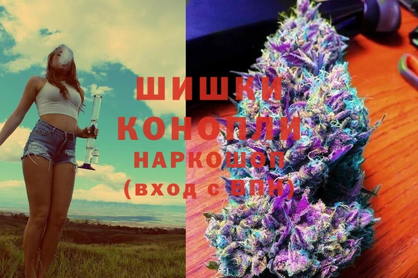 амф Белокуриха