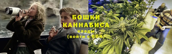 дурь Богородицк