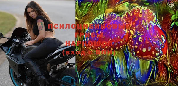 дурь Богородицк