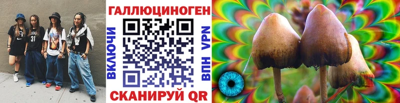 Псилоцибиновые грибы прущие грибы  купить наркотик  blacksprut ссылки  Белозерск 